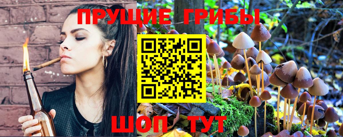 Галлюциногенные грибы Psilocybe  Вход с VPN  Домодедово 